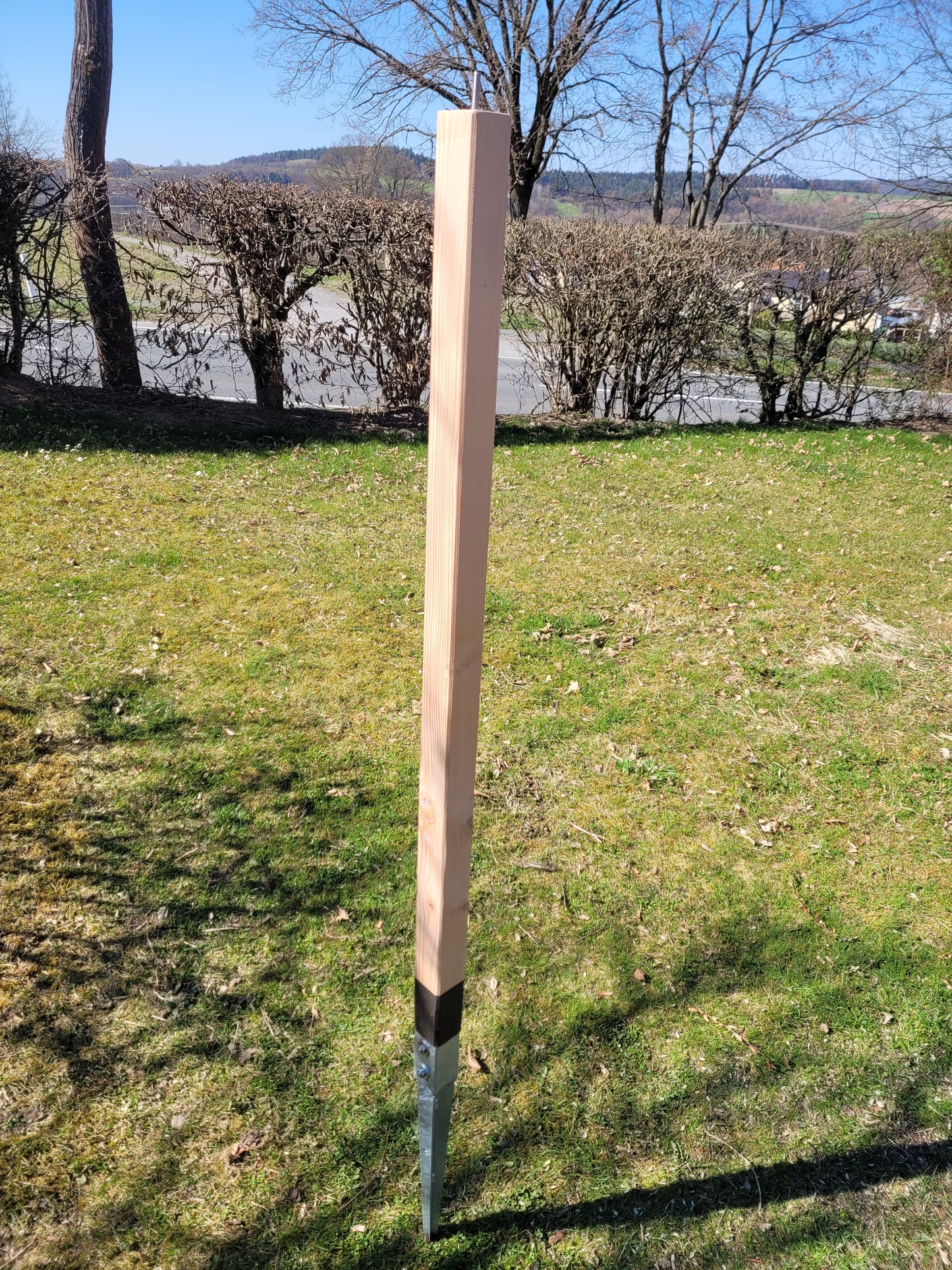 Einschlagpfosten Lärchenholz